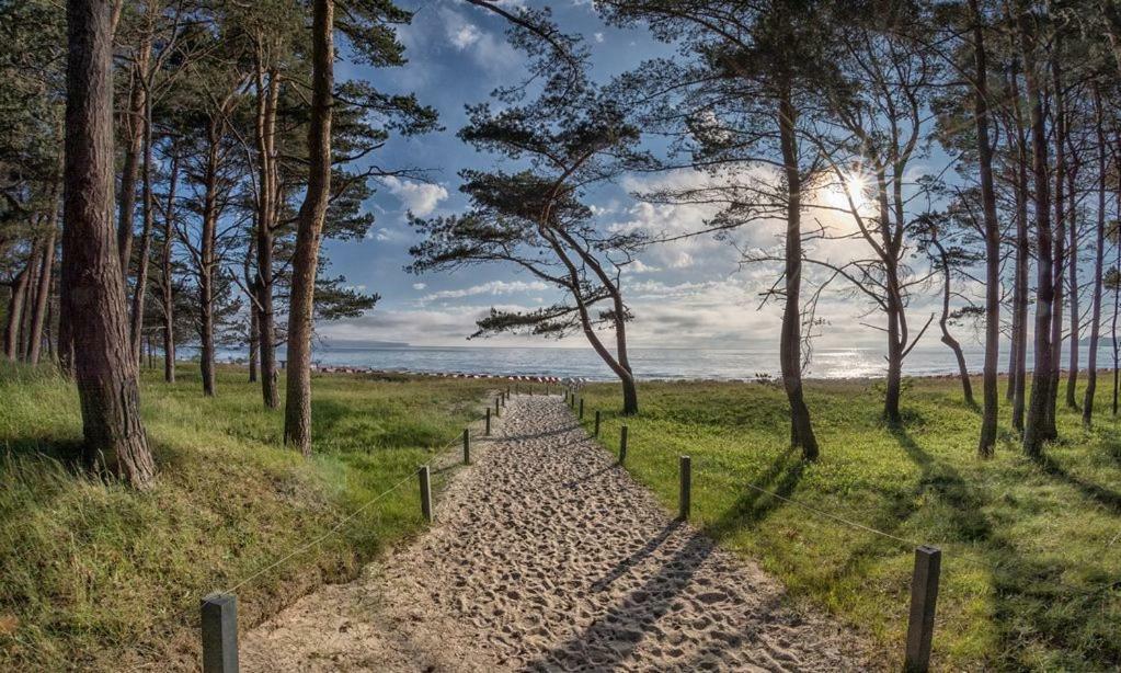 Direkt Am Strand Mit Meerblick Und Sauna - Fewo Strandidyll ビンツ エクステリア 写真